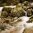 thumbs/DSC01458.jpg